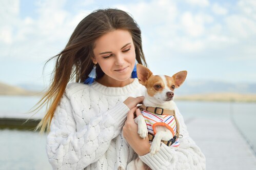 Top Dog Leash for Small Breeds